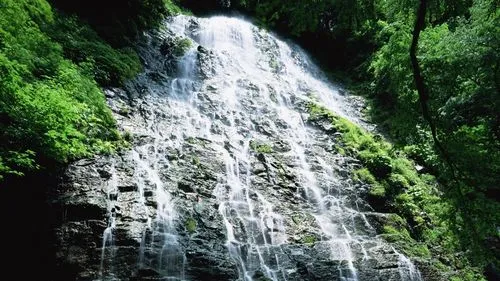 节能自动化高精度